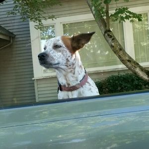 Meet your Posher, Jeana